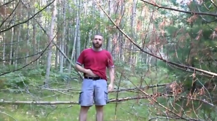 Bear jerking