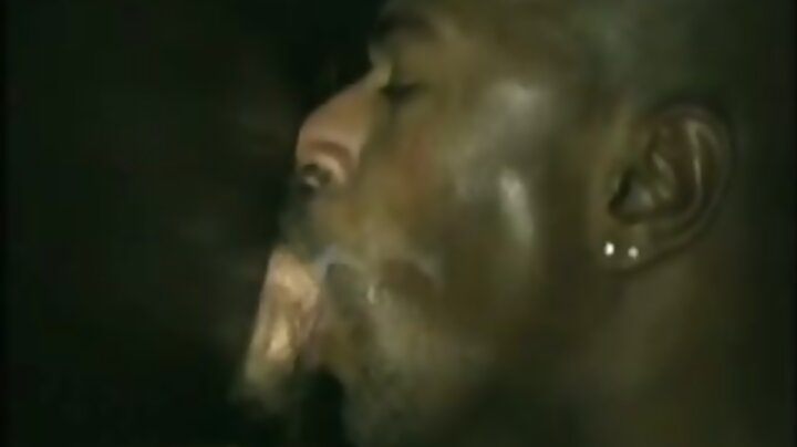 compil cum eating bear