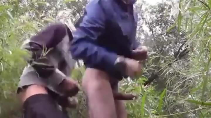 Sex In The Woods