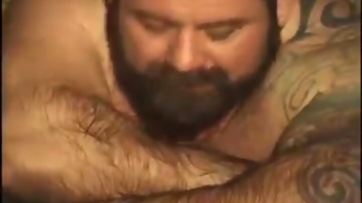 Gay Bears