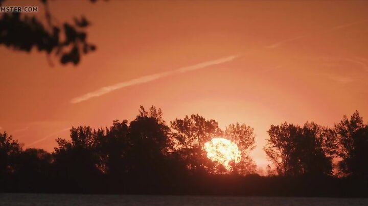 Sailor & Punk   1 (2018)