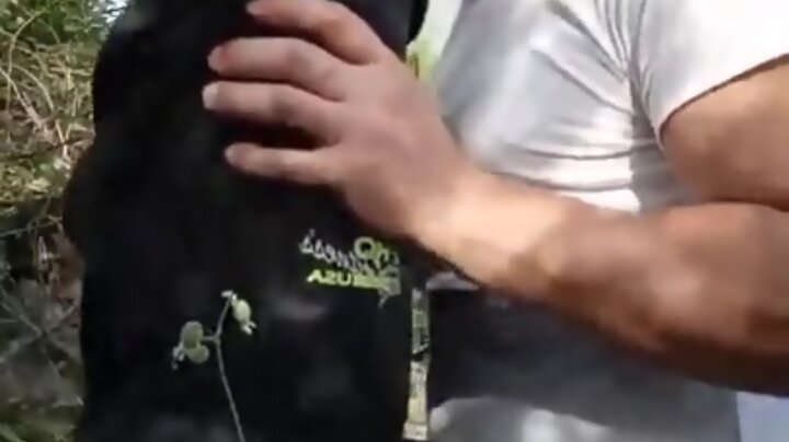 Montenegro Cruising 001