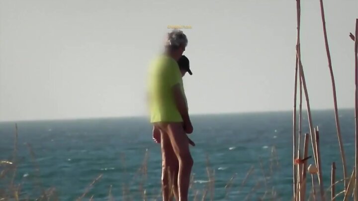 Beach Inspector 36