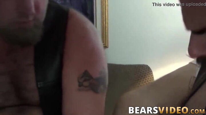 Haired lad steve sommers fucks bears in 3some