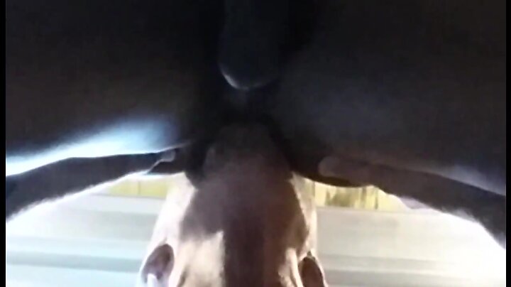 Glory hole dream penis full service