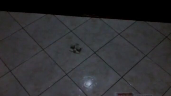 seus 19cm de pomba socou gostoso. no final me colocou pra mamar engolindo seu
