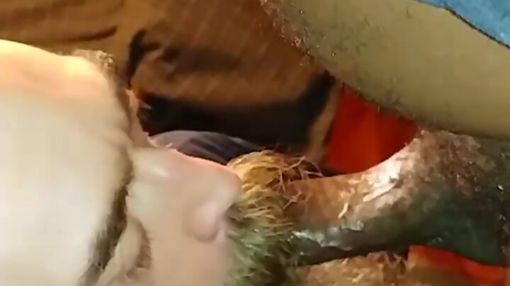 Sirpupnyc at it again