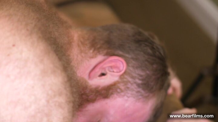 Hot bears marc and tyler get down and sloppy with anal ass licking and cumshots in tattooed russells without condoms cock sucking adventure!